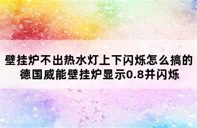 壁挂炉不出热水灯上下闪烁怎么搞的 德国威能壁挂炉显示0.8并闪烁